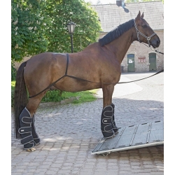 Waldhausen Horse Shipping / Trailer Loading Aid